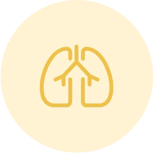 RESPIRATORIO Y ALERGIAS icono